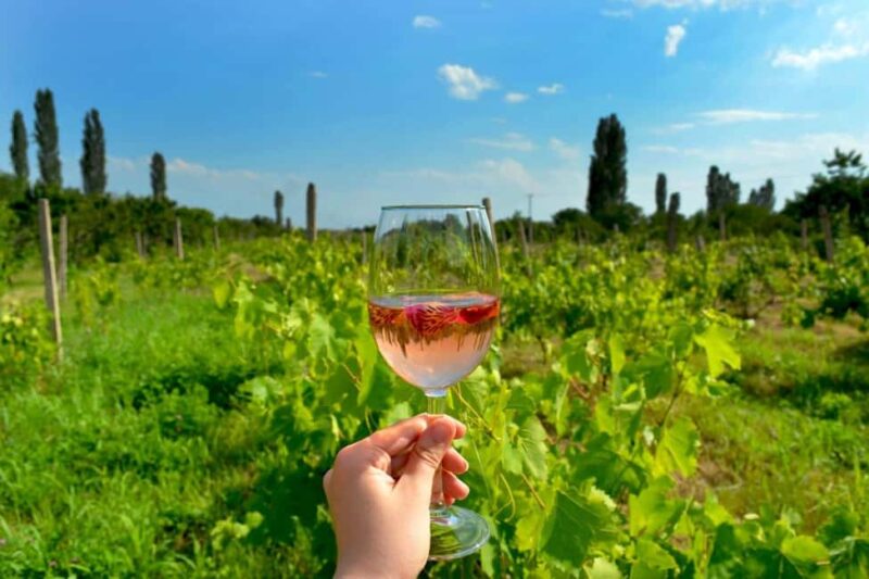 Group Tour: Hovhannavank, Voskevaz Winery & Tegher monastery - Final Thoughts on the Hovhannavank, Voskevaz Winery & Tegher Monastery Tour