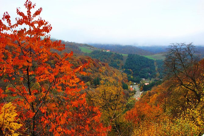 Group Tour: Lake Sevan (Sevanavank), Dilijan (Goshavank, Haghartsin) - Haghartsin Monastery: A Hidden Gem in Nature