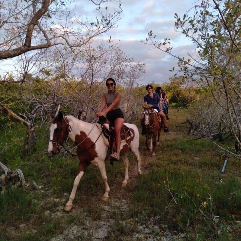 Group Tour of Holbox Island, Quintana Roo - Meeting Point at Los Potrillos Office in Holbox