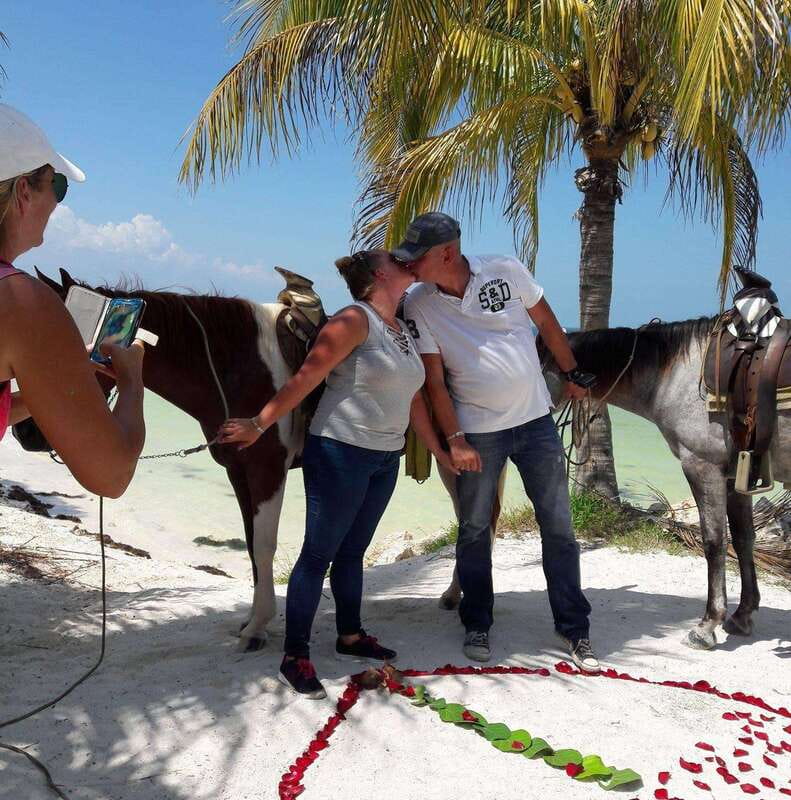 Group Tour of Holbox Island, Quintana Roo - Horses and Guides: Friendly and Experienced