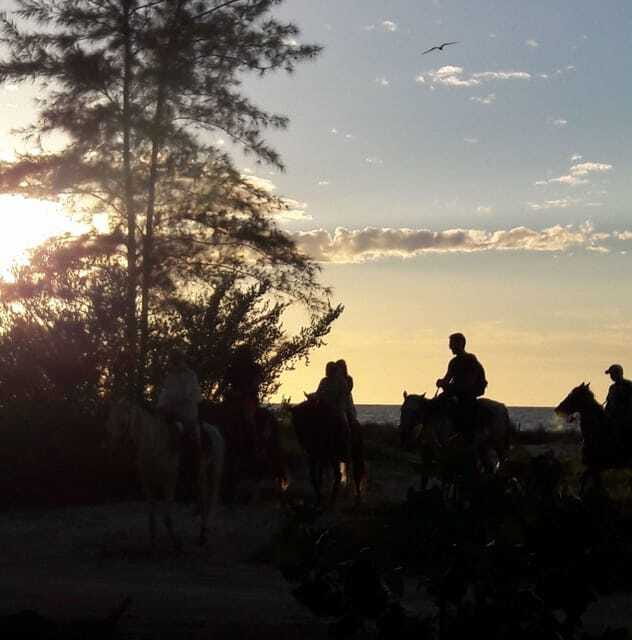 Group Tour of Holbox Island, Quintana Roo - Holbox Horseback Adventure: A Calm, Scenic Ride through Nature