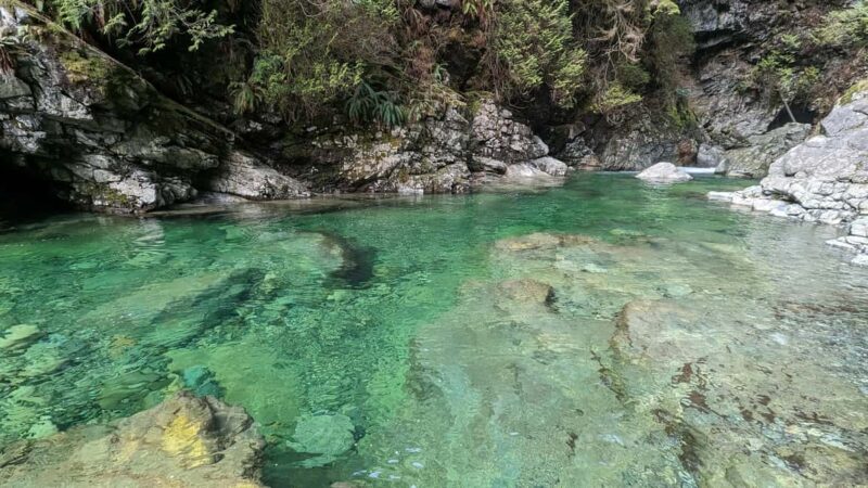 Grouse Mnt+StanleyPark+Hatchery+Cleveland Dam+LynnCanyonTOUR - Who Will Appreciate This Tour Most