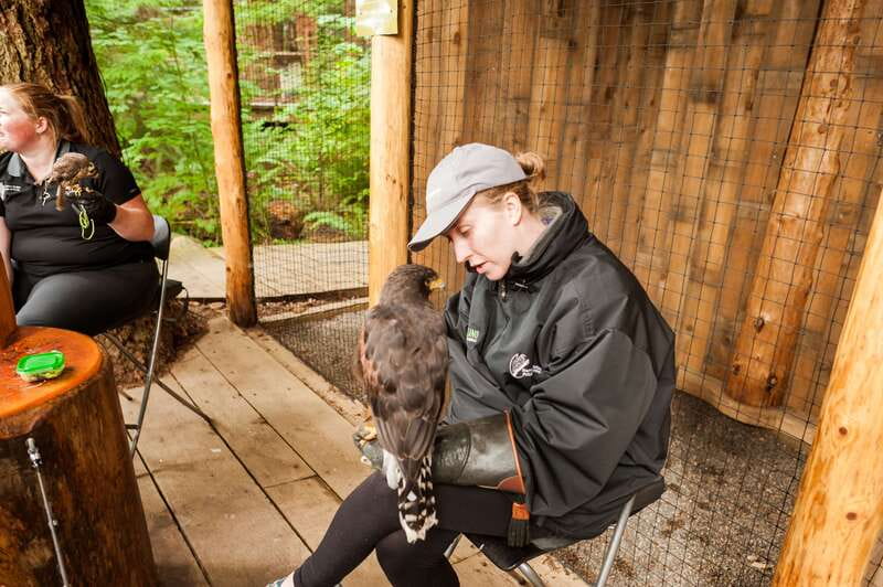 Grouse Mountain, Capilano Bridge & Fish Hatchery Tour - Practical Aspects: Logistics and Accessibility