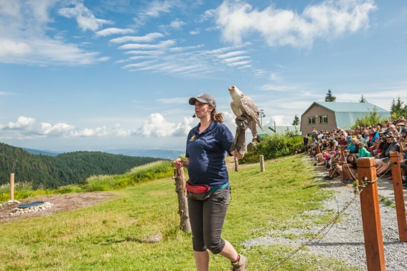 Grouse Mountain, Capilano Bridge & Fish Hatchery Tour - Value and Additional Activities