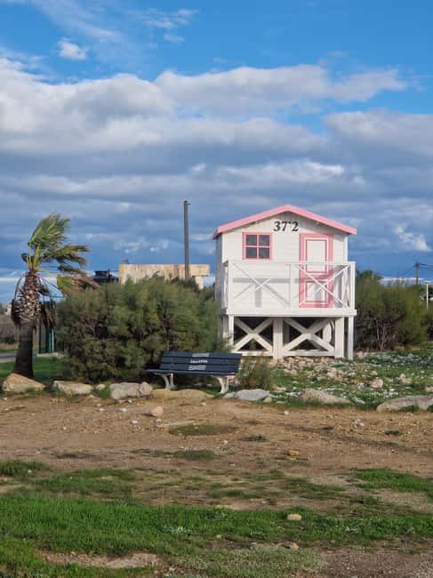 Gruissan: from the New Port to the Old Village - What’s Not Included: Sea Excursion and Lunch