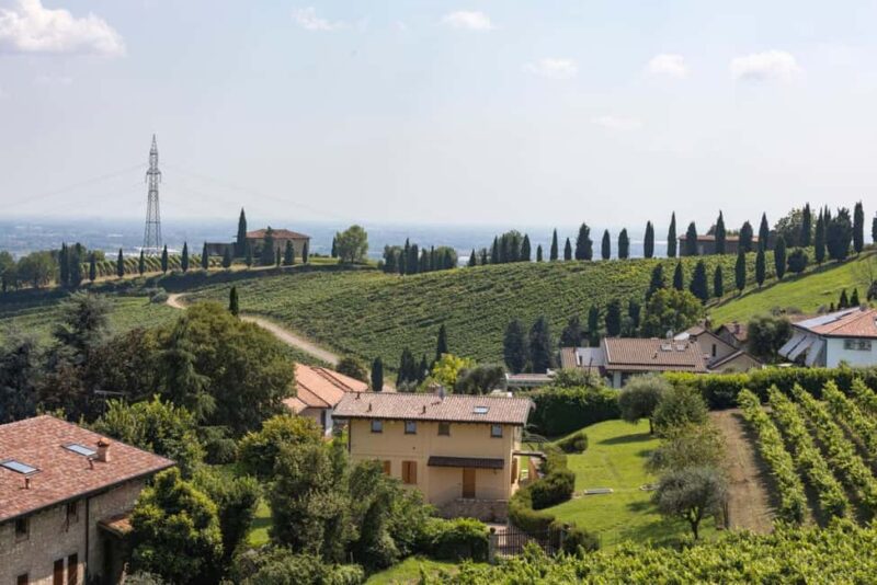 Grumello: Wine Tasting Tour at Historic Family Winery - The Historic Family Winery in Lombardy