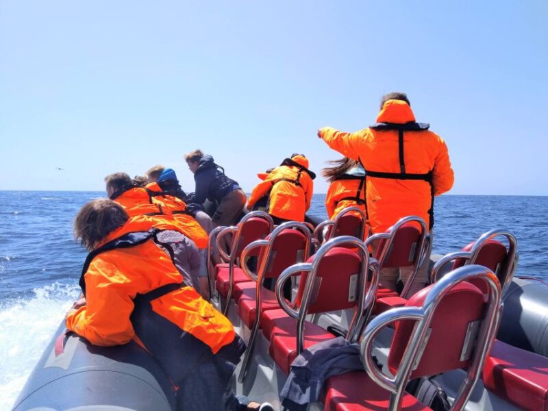 Grutas de Benagil - Ecological and Environmental Focus