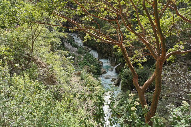 Grutas de Tolantongo Day Trip from Mexico City - Scenic Hanging Bridges and Mountain Views