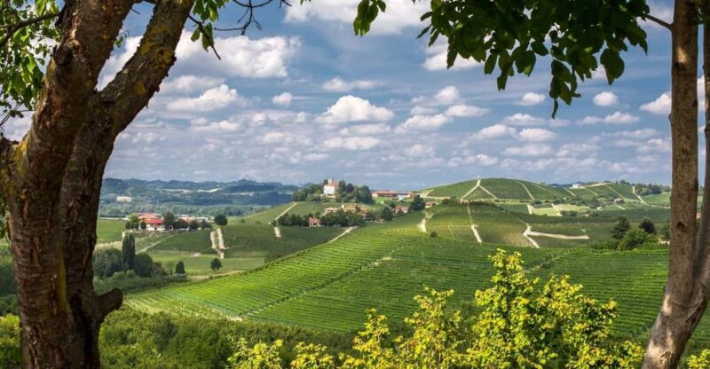 Gruyere village - Comfortable Transportation and Guided Support