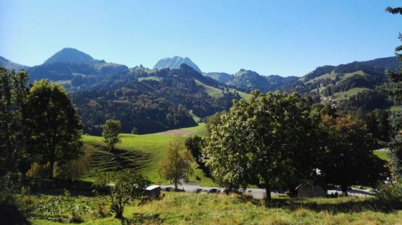 Gruyères, Cheese and Chocolate: Private Tour - Practical Details: Logistics and inclusions