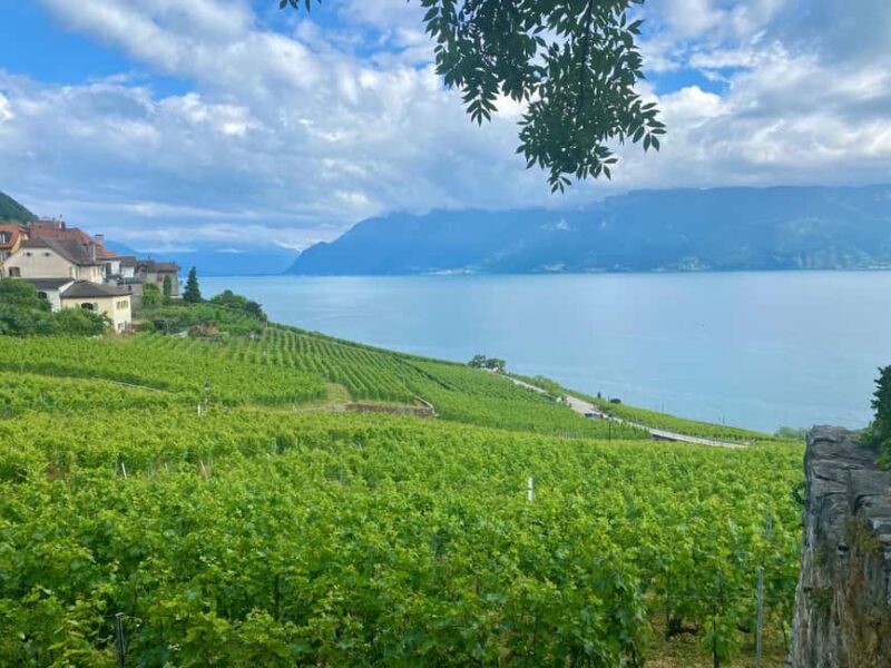 Gruyères & Lavaux Vineyard with Cheese & Wine | From Bern - Key Points