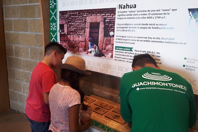 Guachimontones and Tequila Tour - What Sets This Tour Apart: Guided Expertise and Unique Stops