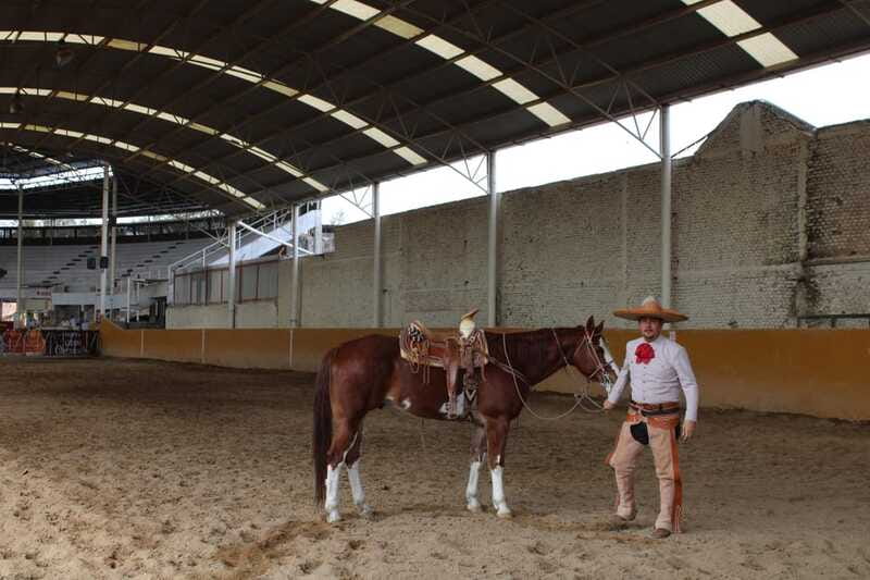 Guadalajara: Authentic Charro Horseriding Experience - The Experience Provider: CAMINA GDL