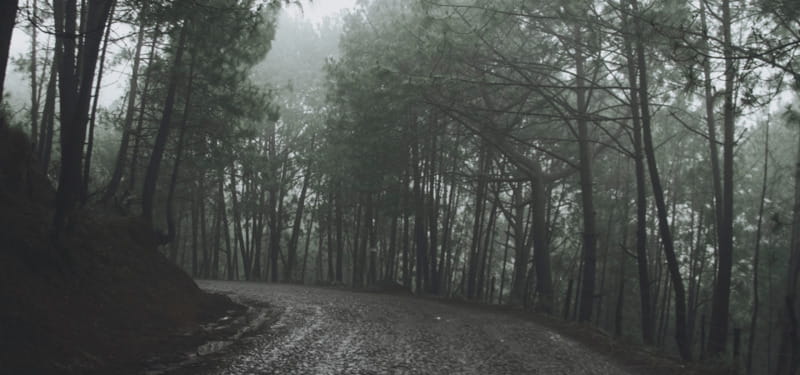 Guadalajara - Mazamitla: Motorcycle Tour - Flexibility and Cancellation Policy