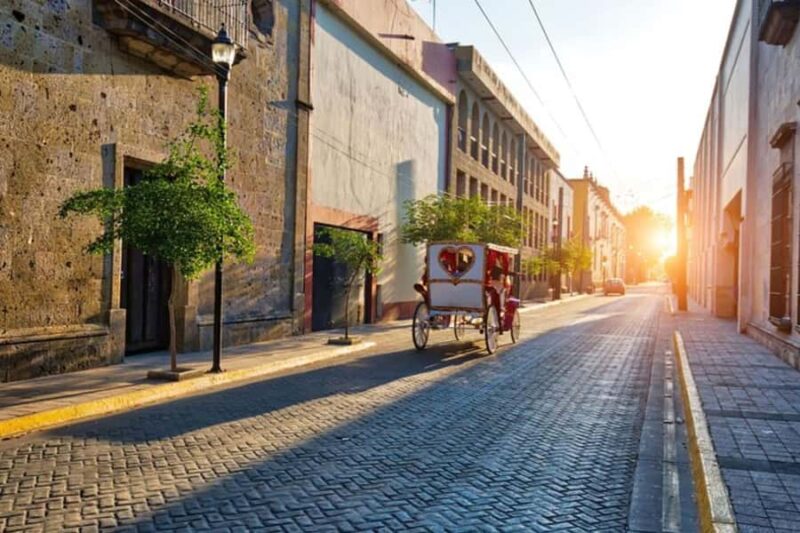 Guadalajara: Private custom tour with a local guide - The Convenience of Hotel Pickup and Ticket Assistance