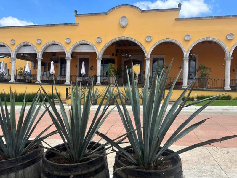 Guadalajara: Secrets of the Highlands Tequila Route - Scenic Drive and Photo Opportunities in the Highlands