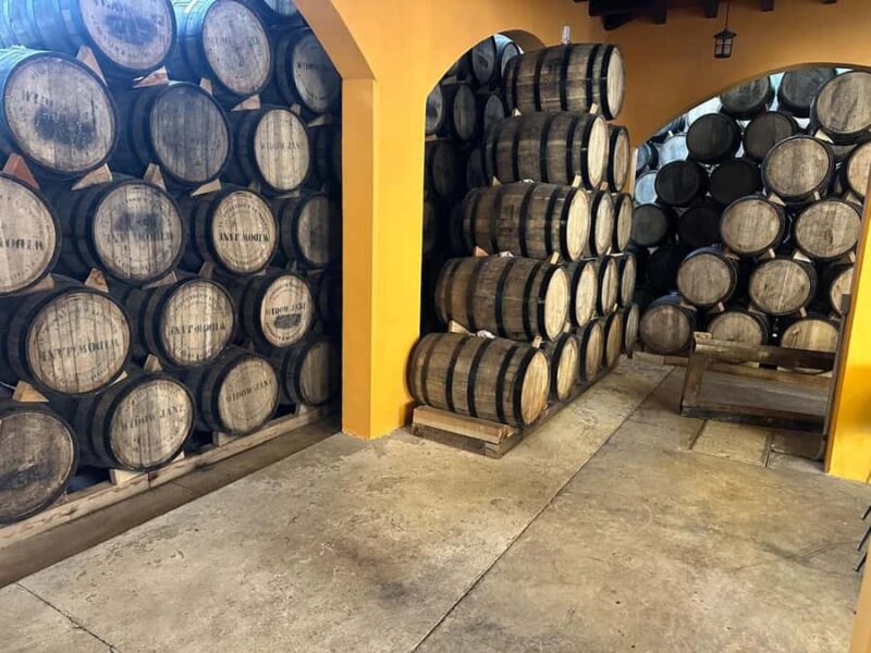 Guadalajara: Secrets of the Highlands Tequila Route - Lunch at Ocho Agaves: Pairing Flavors with Tequila