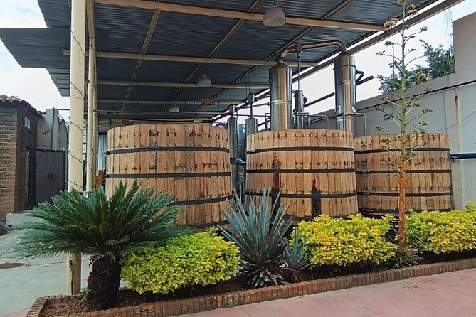 Guadalajara Tequila Tastings Tour - Scenic Photo Stop in Amatitan