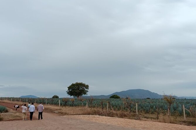 Guadalajara Tequila Tastings Tour - Tasting "Cantaritos" at Cantaritos Amatitán Che-ches