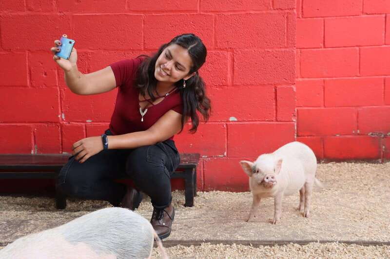 Guadalajara: ticket to Michin Aquarium - Practical Tips for Visitors