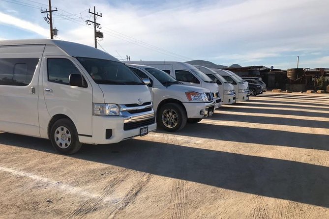 Guadalupe Valley Private Driver Tour - Optional Horseback Riding Adventure