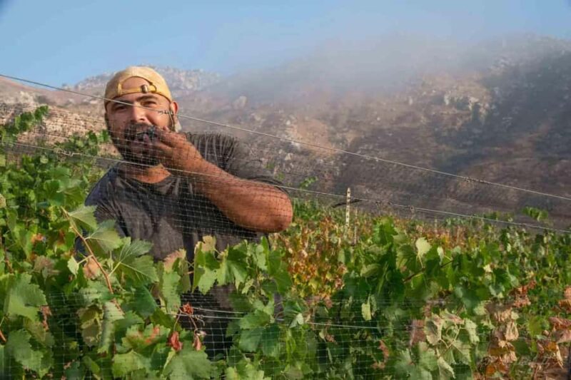 Guadalupe Valley: The Art of Wine, Exclusive Route, and Gourmet Food - The Tour Begins with a Breathtaking View from Ensenada