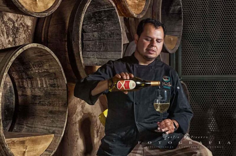 Guadalupe Valley: The Art of Wine, Exclusive Route, and Gourmet Food - Olive Oil Tasting at Molino de Olivo