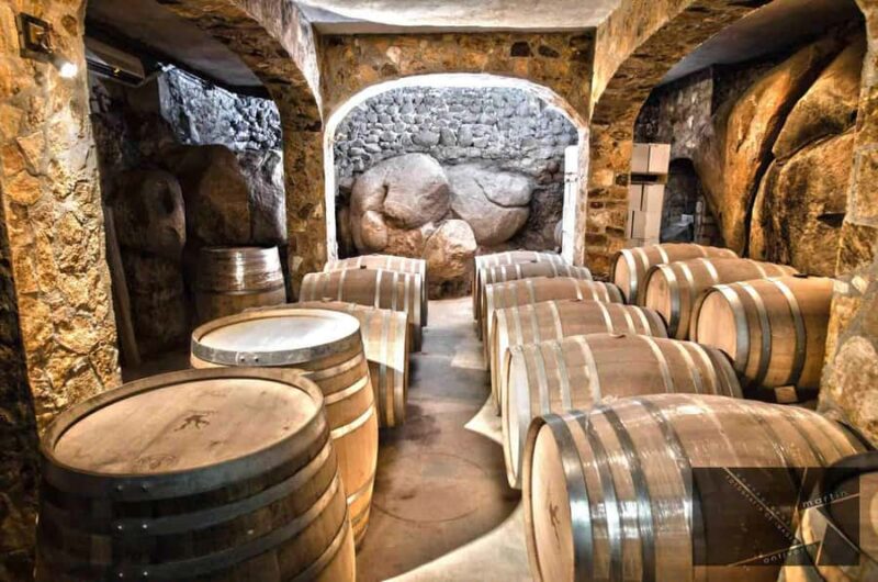 Guadalupe Valley: The Art of Wine, Exclusive Route, and Gourmet Food - Returning from Guadalupe Valley with Full Hearts and Palates