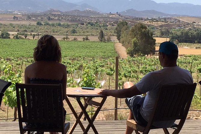 Guadalupe Valley Wine Route Tour in Baja California - The Role of the Guides: Knowledgeable and Friendly
