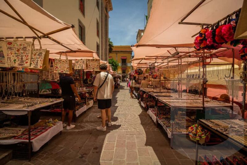 Guanajuato City One Day Extensive Tour From San Miguel - Limitations and Considerations