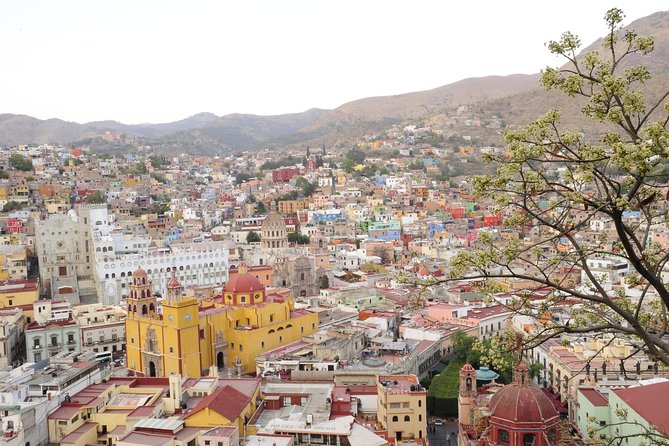 Guanajuato from San Miguel de Allende - Explore Guanajuato’s Historic Charm for $190