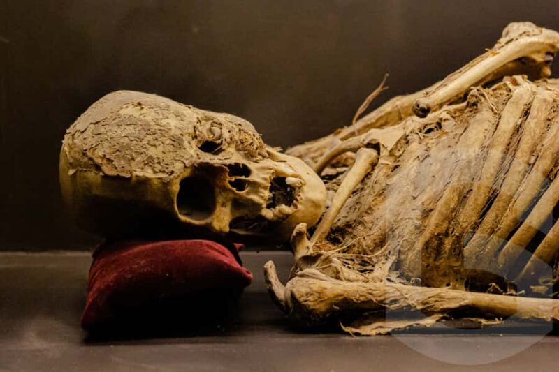 Guanajuato: Mummies, Mines and Tunnels Guided Group Tour - Key Points