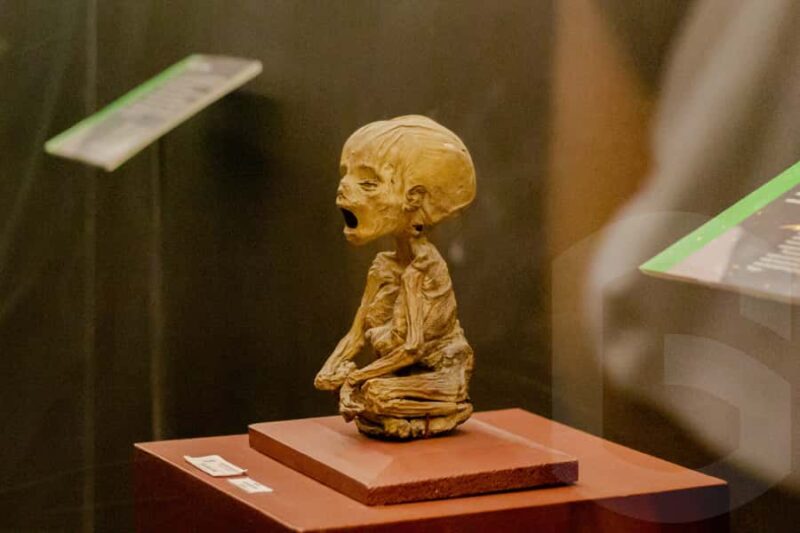 Guanajuato: Mummies, Mines and Tunnels Guided Group Tour - The Mummy Museum and Its Preservation Marvels