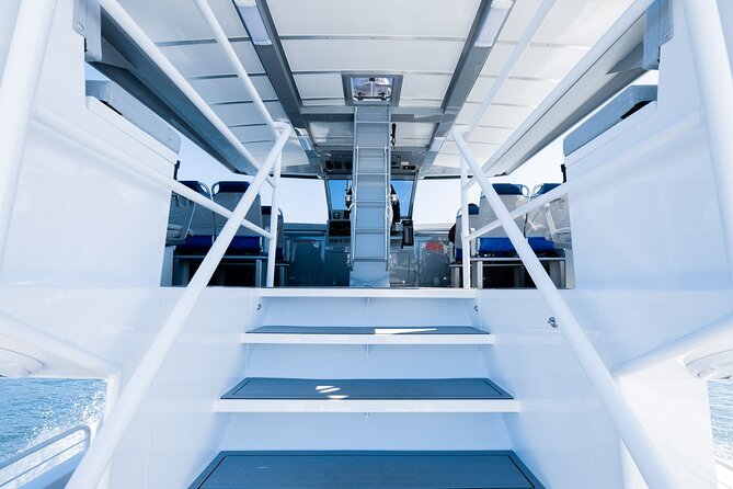 Guaranteed Dolphin and Whale Watch Tour in Kona - Water Conditions and Weather Considerations