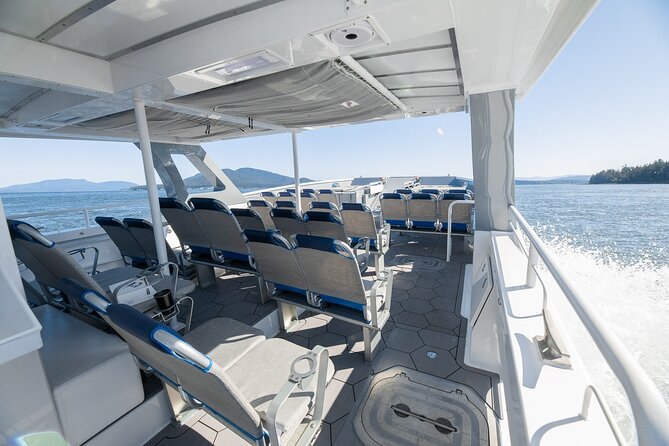 Guaranteed Dolphin and Whale Watch Tour in Kona - What Sets This Tour Apart from Others