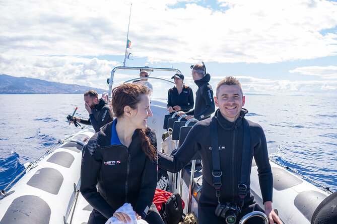 Guaranteed Whale or Dolphin Watching Tour - Funchal - Wildlife Success and Sightings - What to Expect