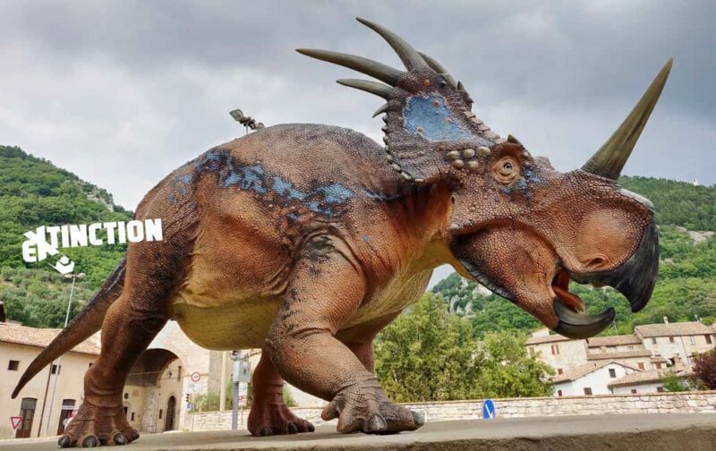 Gubbio Christmas Train and Three Museums Family Package - Exploring Gubbios Christmas Land Activities and Workshops