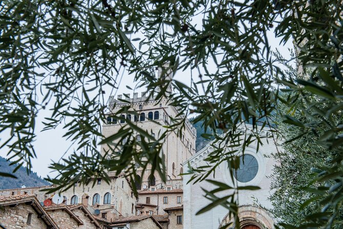 Gubbio: Private walking tour with official guide - Value of the Experience in Gubbio’s Context