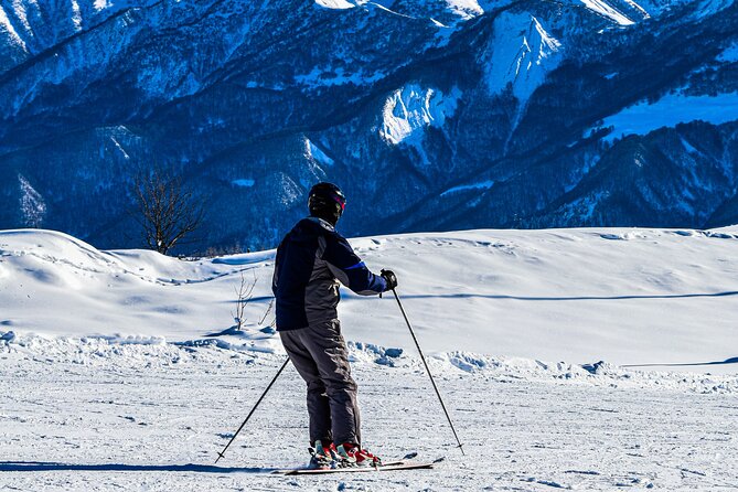 Gudauri Adventures - One Day Private Tour to Gudauri Ski Resort - Flexibility and Optional Activities at Gudauri