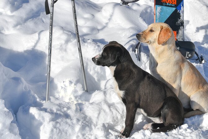 Gudauri Adventures - One Day Private Tour to Gudauri Ski Resort - Guided Experience and Local Knowledge