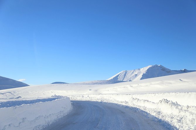 Gudauri Ski Resort day tour from Tbilisi - Tour Logistics and Practical Details