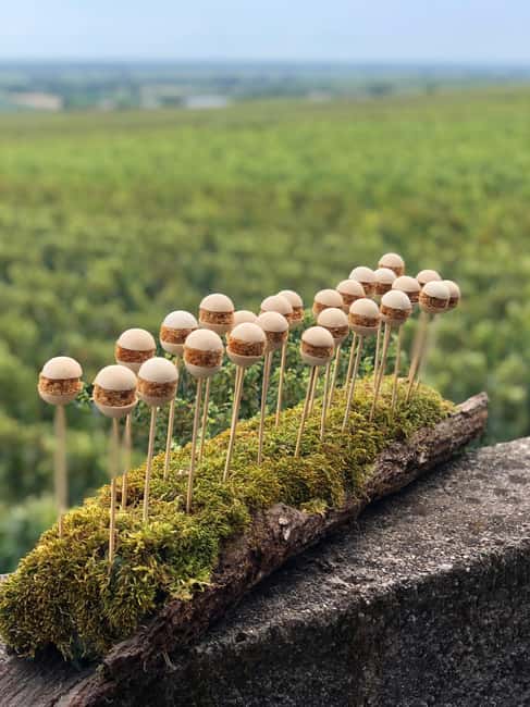 Gueberschwihr: oenology class and tasting of 12 wines and 5 appetizers - The Setting: Gueberschwihr in France’s Grand Est Region