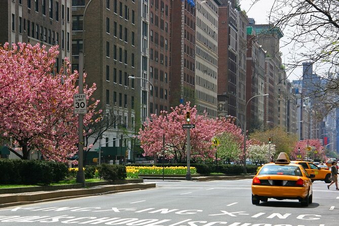 Guggenheim Ticket and Audio Tour with Carnegie Hill Walk - Discovering Carnegie Hill’s Historic Charm