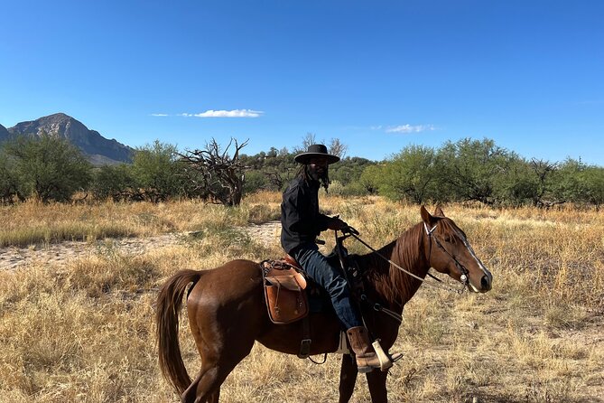 Guided 2 Hour Horseback Ride Catalina State Park Coronado Forest - Practical Tips for a Smooth Ride