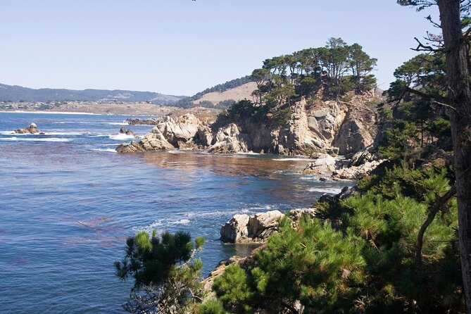 Guided 2-Hour Point Lobos Nature Walk - Explore Point Lobos in Just 2.5 Hours with a Guided Nature Walk