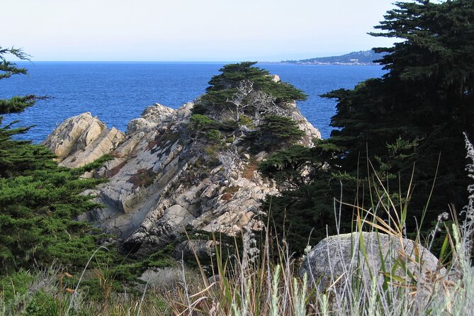 Guided 2-Hour Point Lobos Nature Walk - Key Points