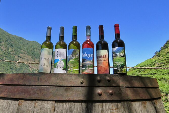 Guided 4x4 Adventure and Skywalk with Wine and Tapas in Madeira - Key Points