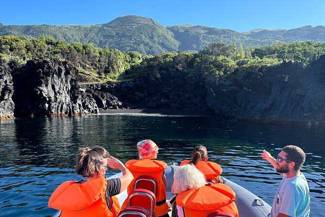 Guided activity in the Heart of Azores with whales and dolphins - Who Will Enjoy This Tour Most?