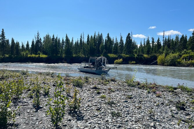 Guided Airboat Tour - What Wildlife Can Be Seen on the Airboat?
