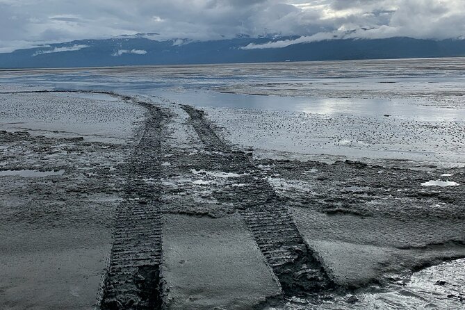 Guided Airboat Tour - The Scenic Views of Kenai Mountain and Glaciers